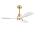48 Inch Modern Ceiling Fan with Lights