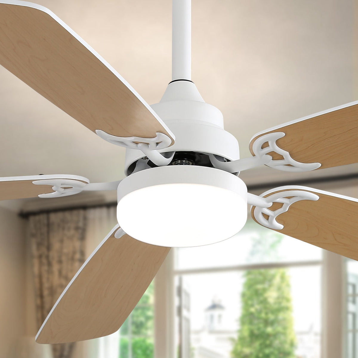Indoor Modern 52 Inch Ceiling Fan With LED Light