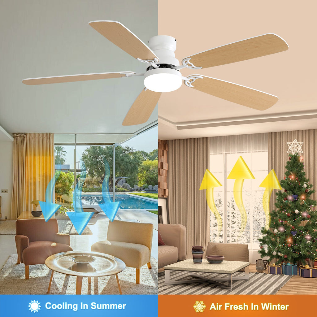 Indoor Modern 52 Inch Ceiling Fan With LED Light