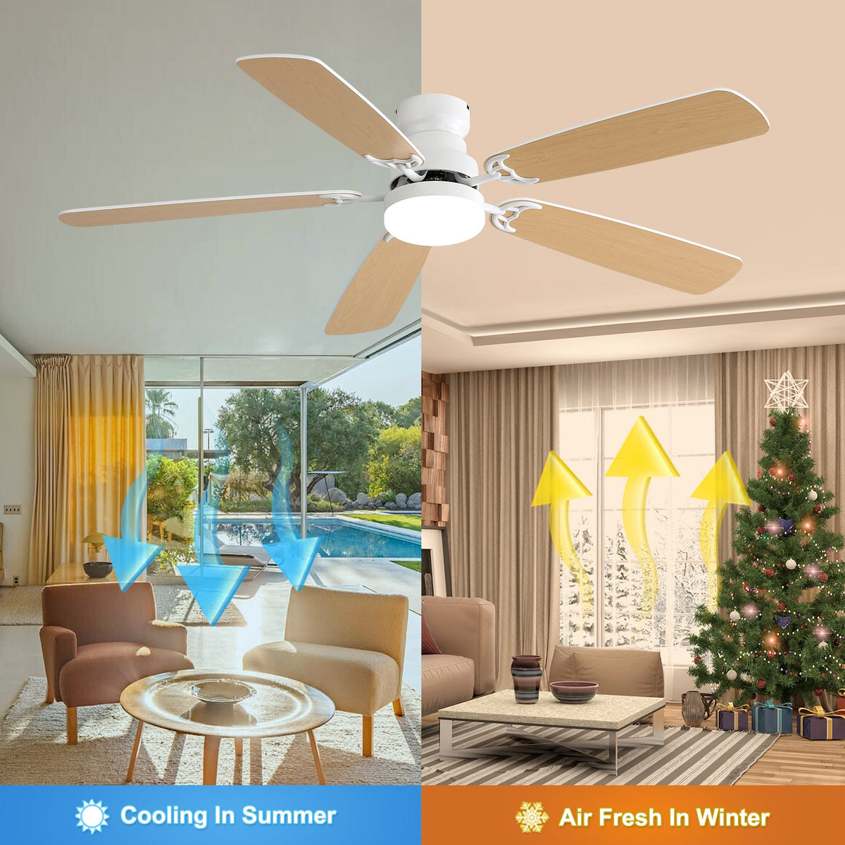 Indoor Modern 52 Inch Ceiling Fan With LED Light