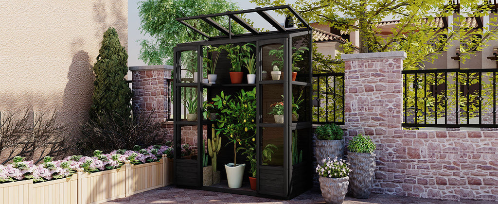 TOPMAX 78-Inch Wooden Greenhouse Cold Frame