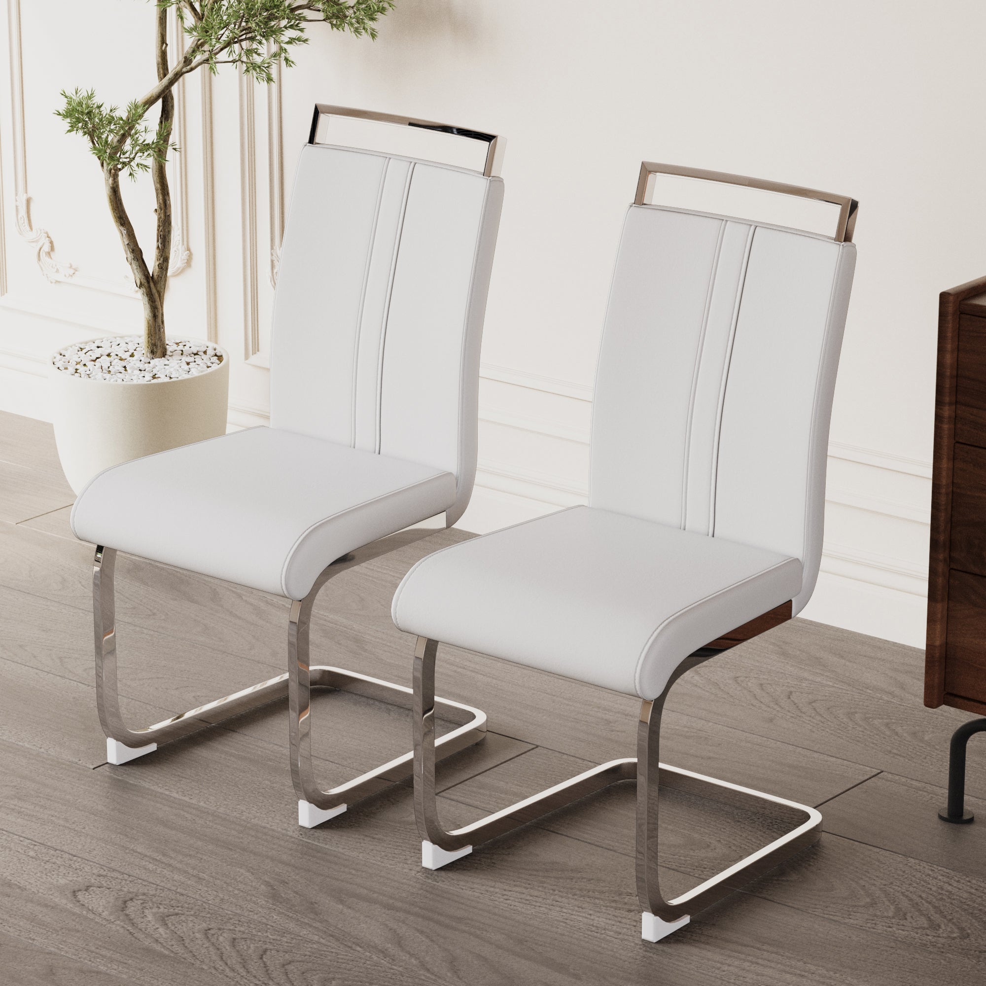 Modern Dining Chairs - Set of 2