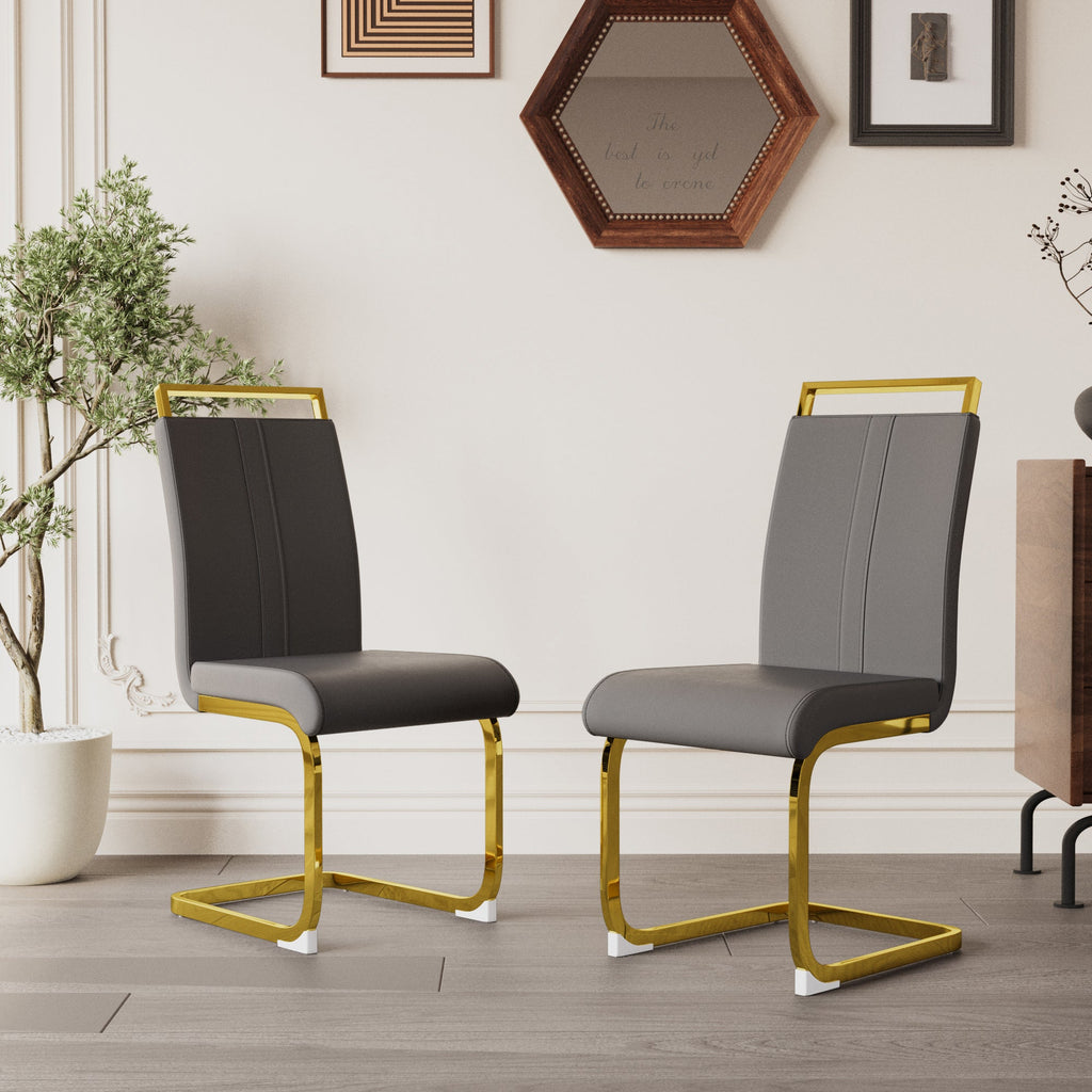 Modern Dining Chairs Set of 2
