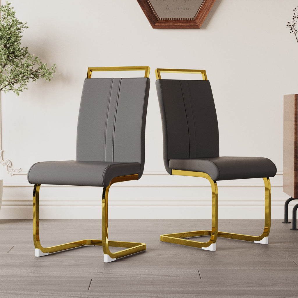 Modern Dining Chairs Set of 2