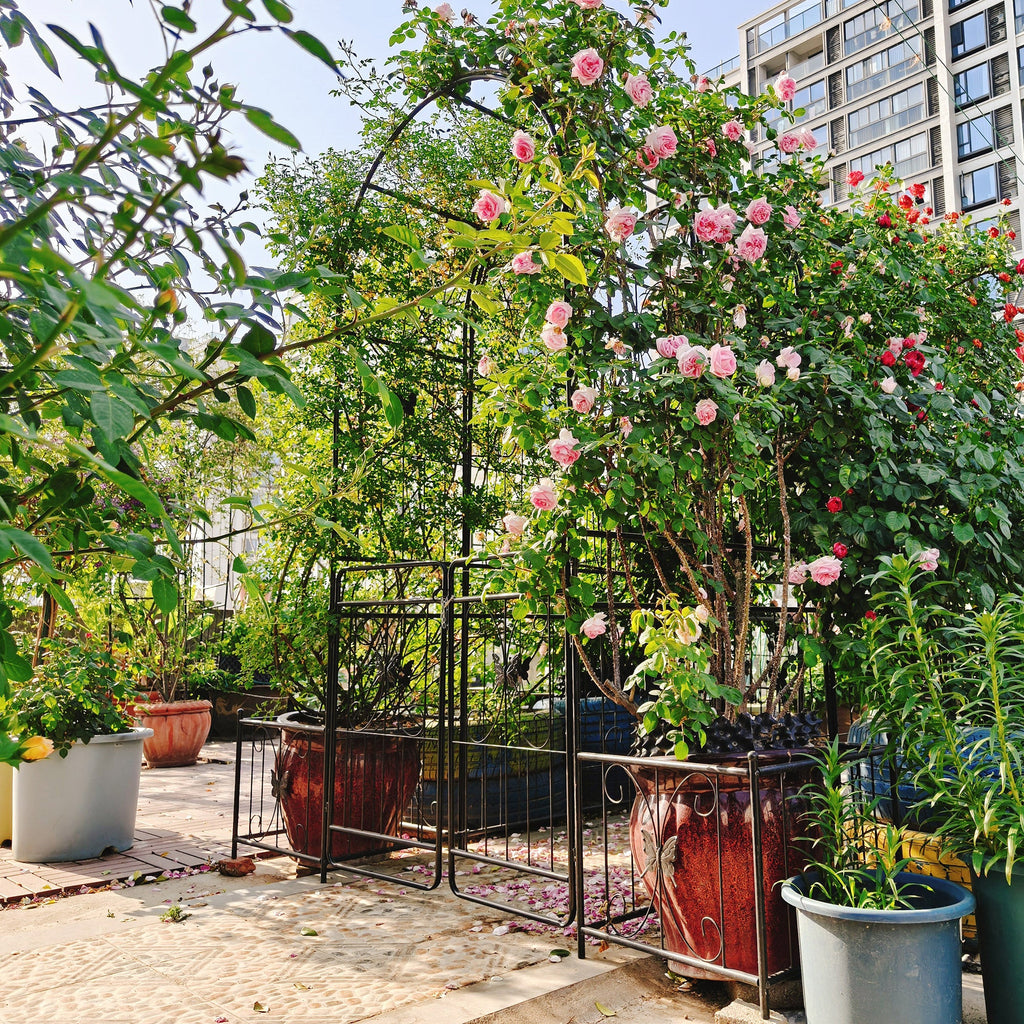 Metal Garden Arch with Gate