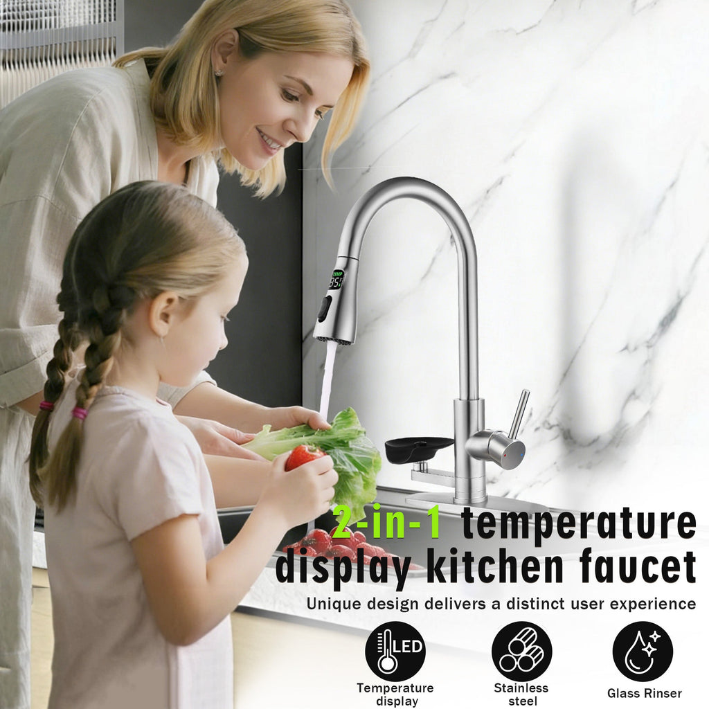 3-in-1 Kitchen Faucet with LED Temperature Display