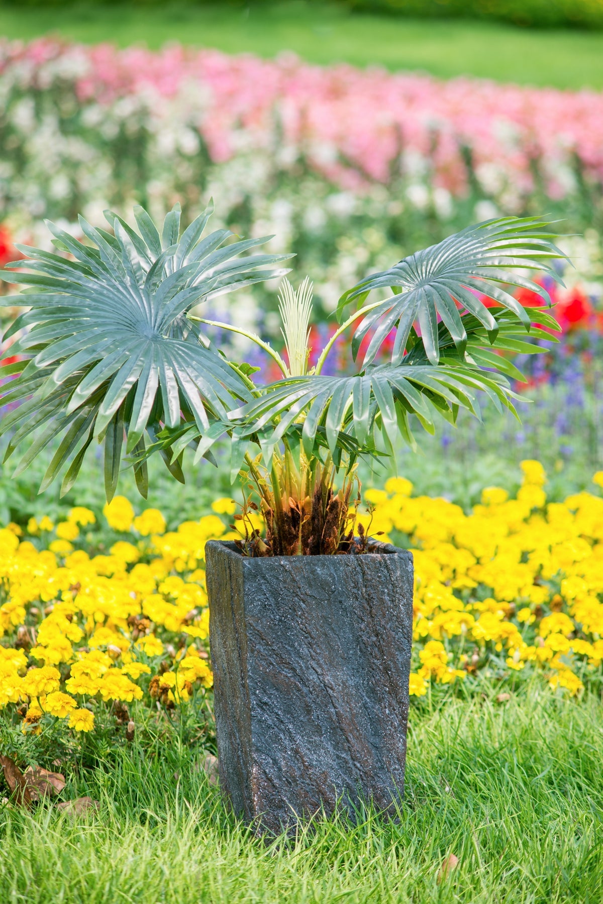 Large Cement Planter for Indoor and Outdoor Use