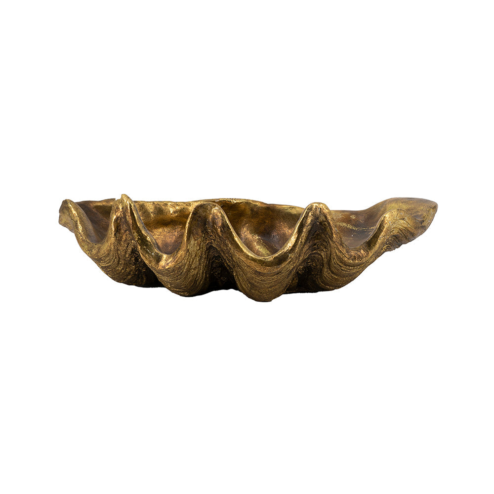 19.7" x 10.6" x 5.5" Decorative Shell Bowl