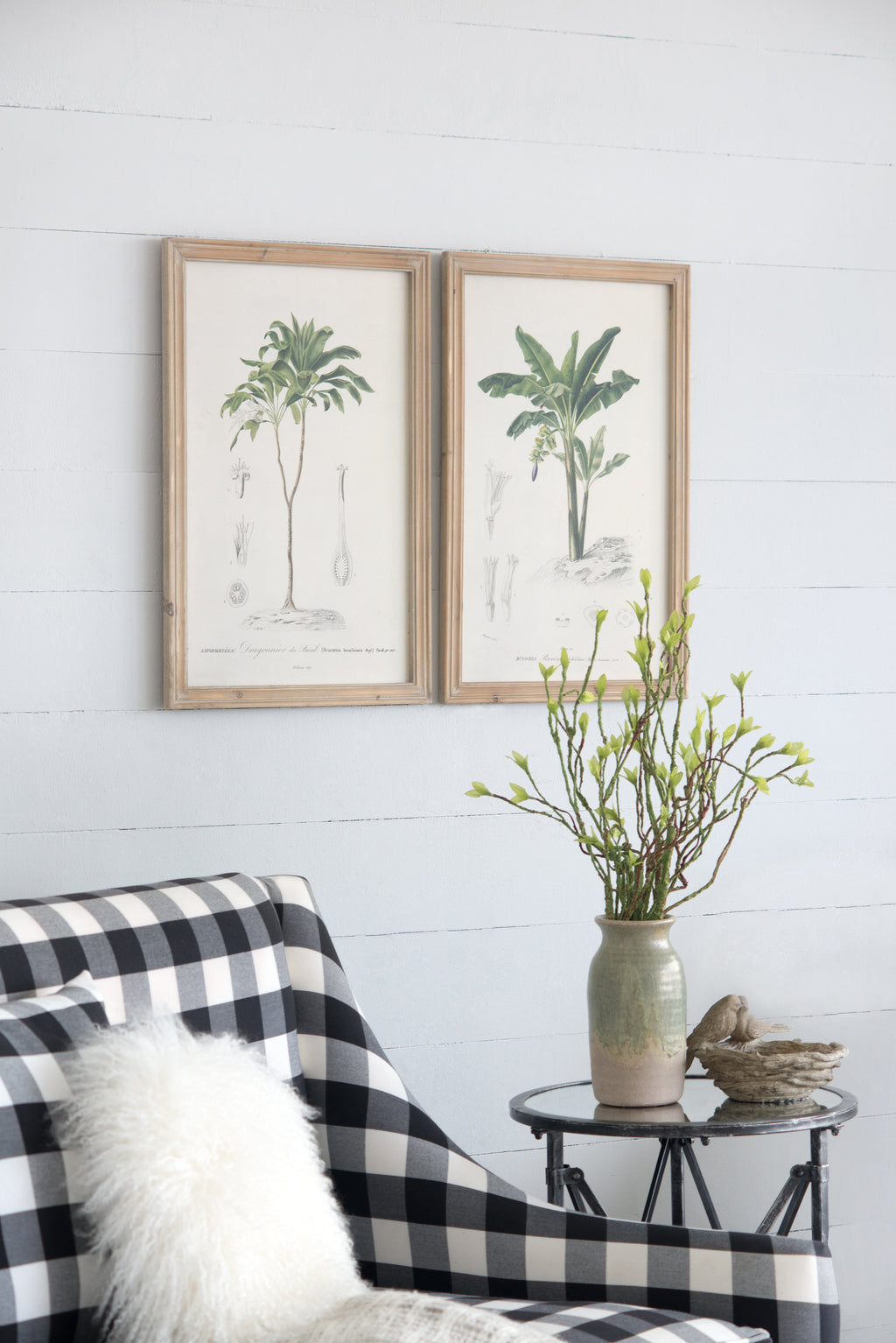 Set of 2 Tree Framed Prints