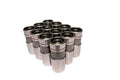 COMP Cams Pro-Magnum Hydraulc Lifters Fo 862-12