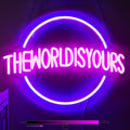 Creative Shaped Illuminated Signage Neon Lights
