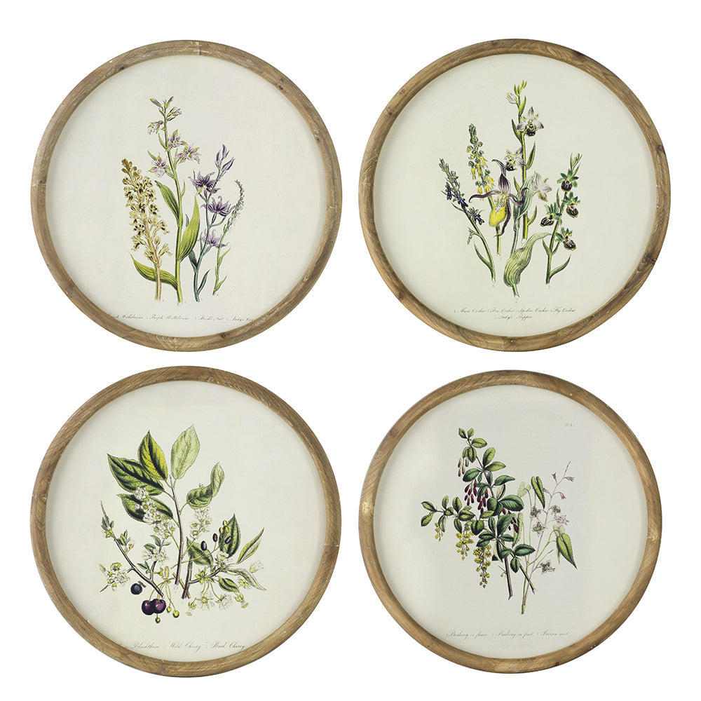 Flora Print Round Frame Set of 4