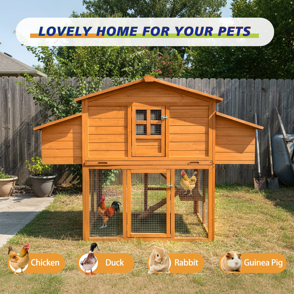 Chicken House for Outdoor with Two Nesting Box