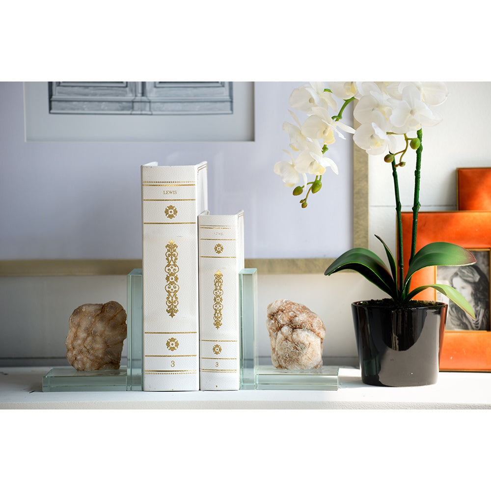 Set of 2 Botanical Green and White Book Boxes