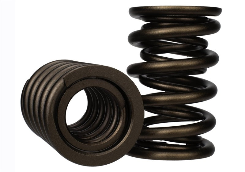 Ford Racing Replacement Valve Springs (TVS-1734) - Set Of 8 M-6513-17348