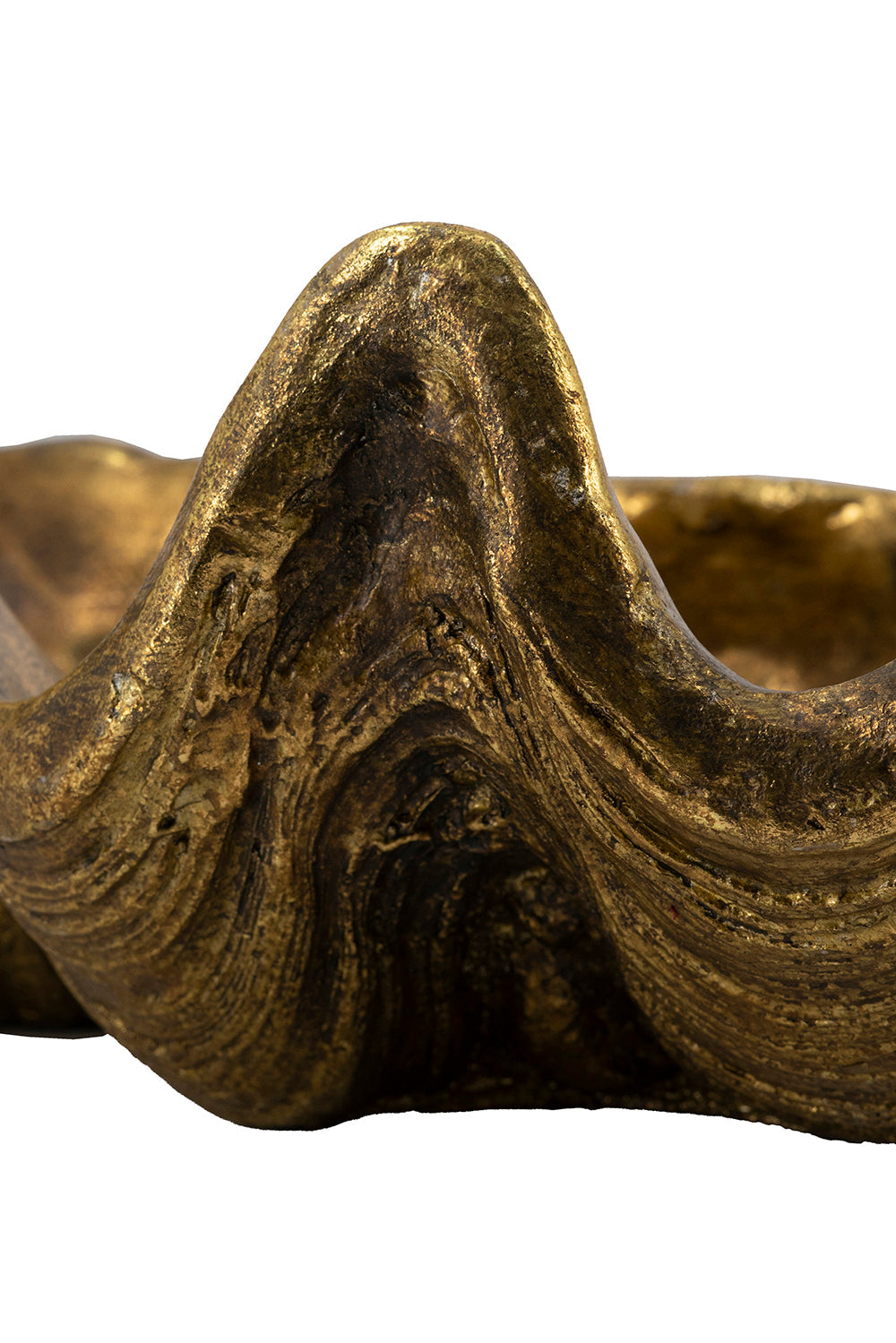 19.7" x 10.6" x 5.5" Decorative Shell Bowl