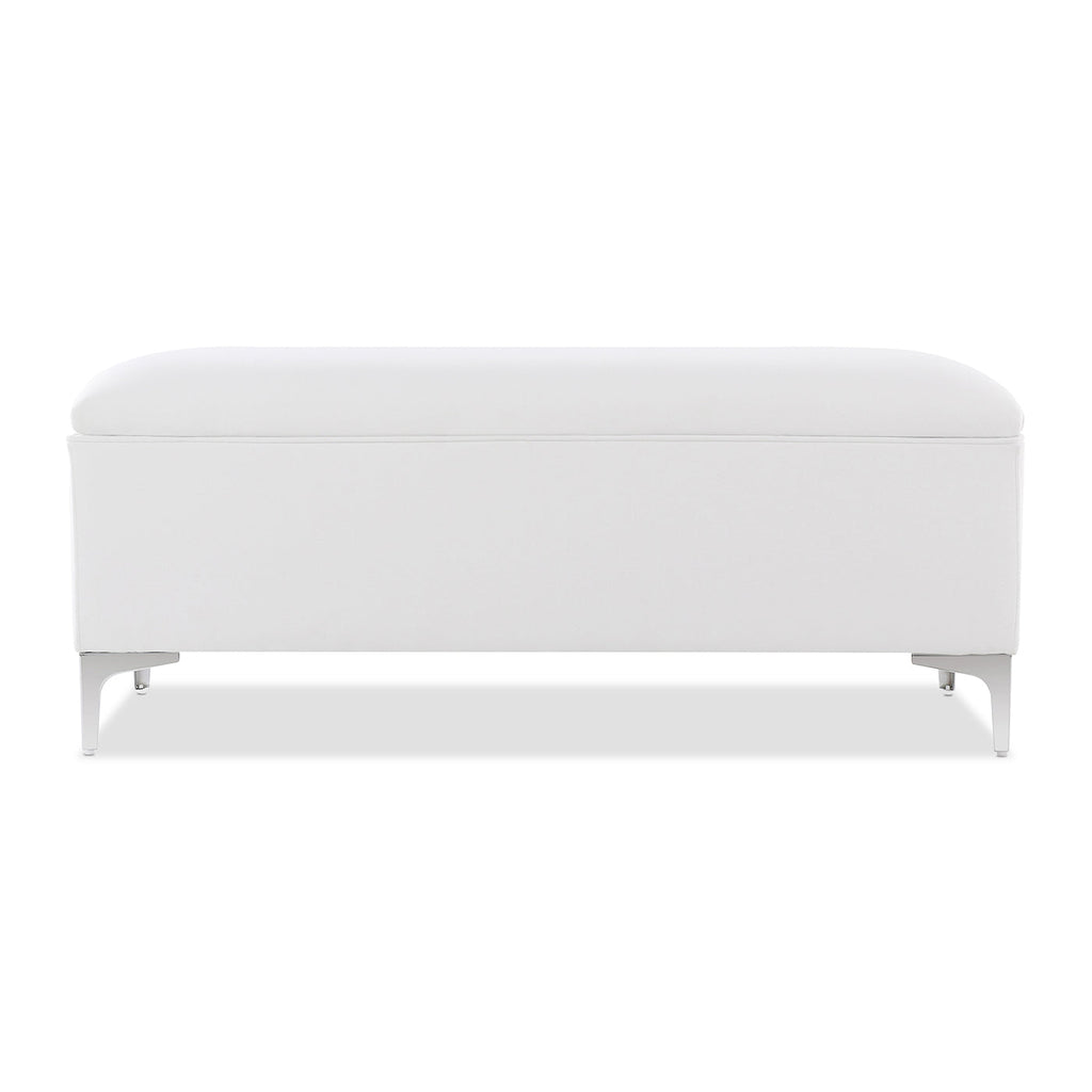 Madelyn 49" Modern Storage Bench, Bright