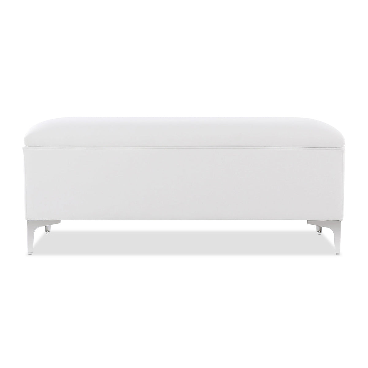 Madelyn 49" Modern Storage Bench, Bright