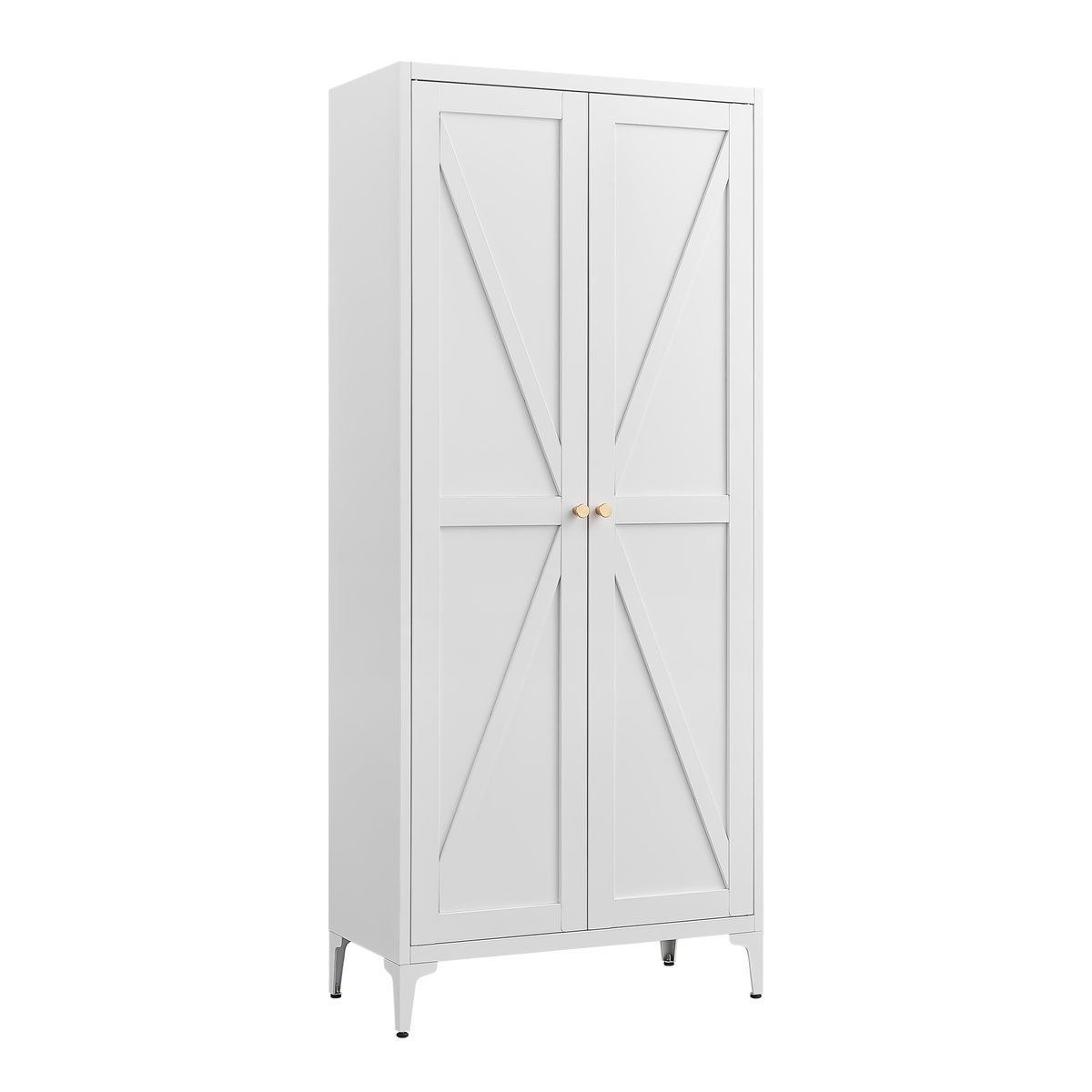 Metal Adjustable 2 Doors Storage Cabinet