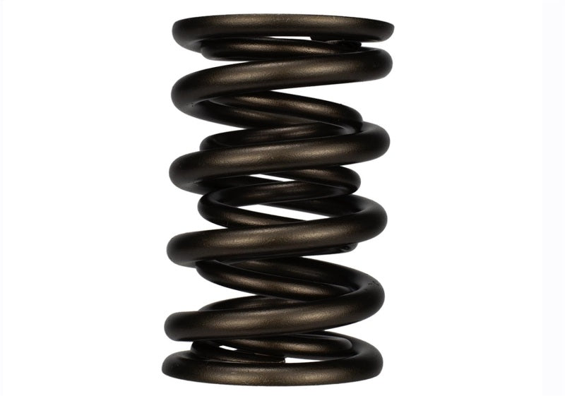 Ford Racing Replacement Valve Springs (TVS-1734) - Set Of 8 M-6513-17348