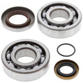 All Balls Racing 03-04 Gas-Gas EC200 Crank Shaft Bearing Kit 24-1112