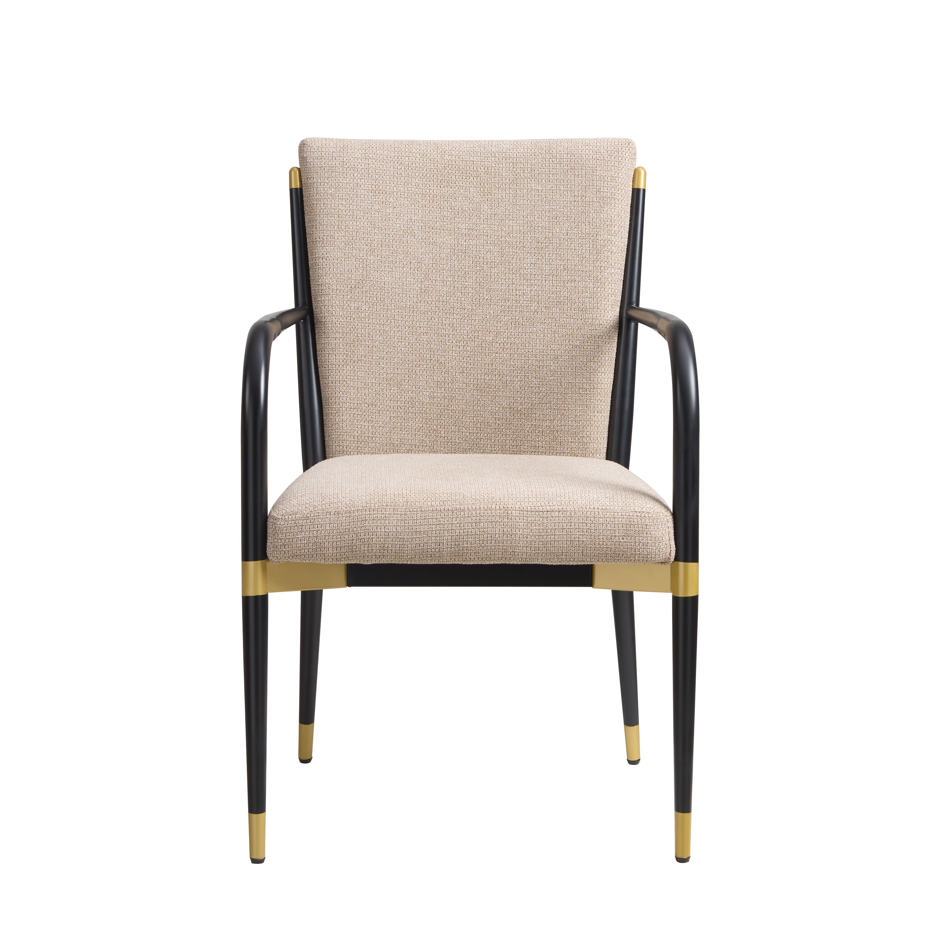 Modern Dining Arm Chair - Set of 2