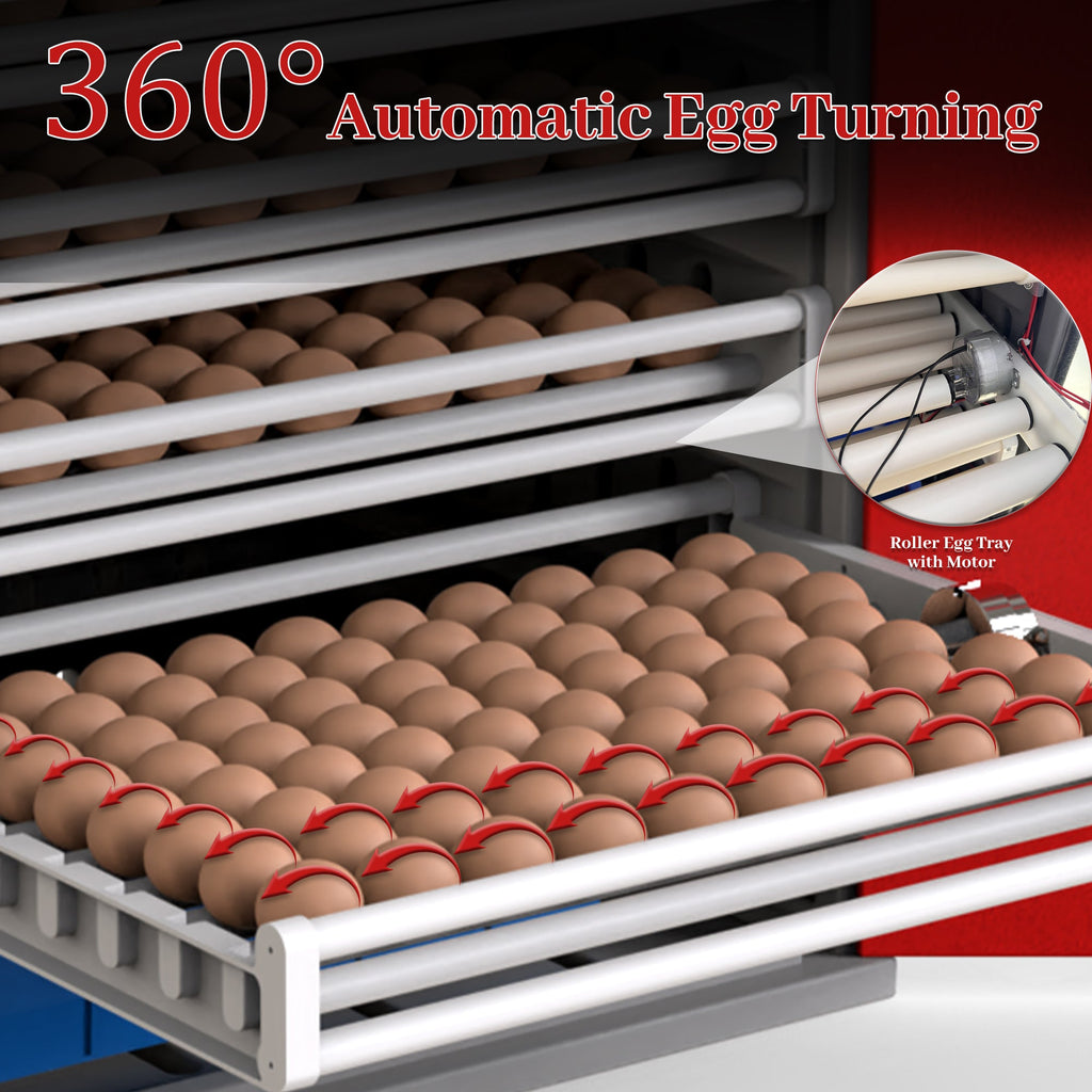 1000-Egg Commercial Cabinet Incubator