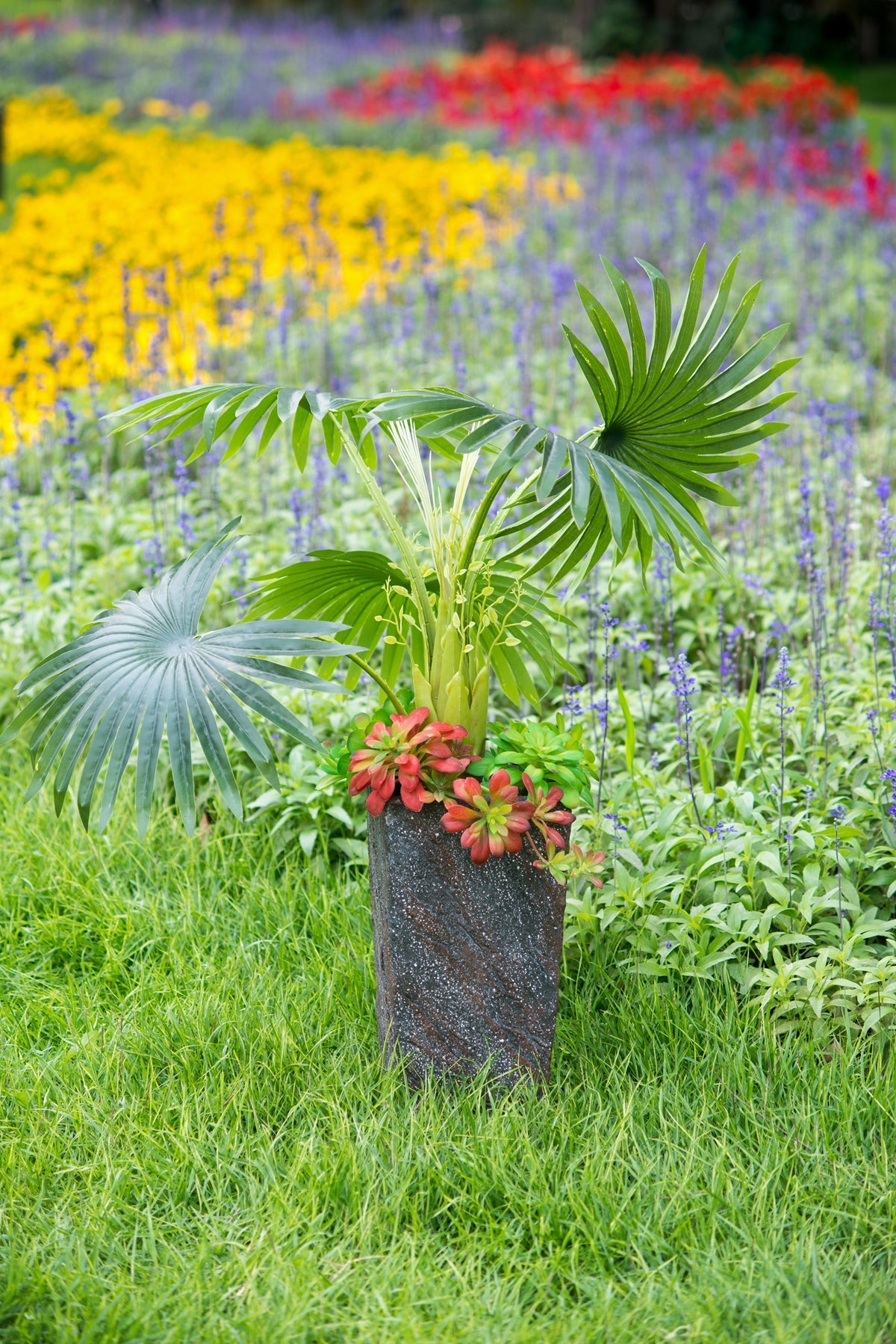 Large Cement Planter for Indoor and Outdoor Use