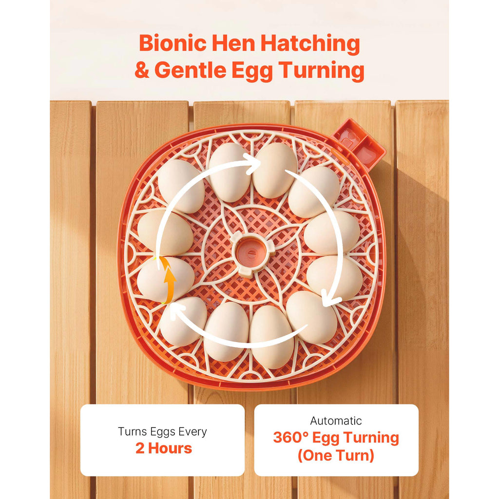 12 Egg Incubator with Automatic Egg Turner