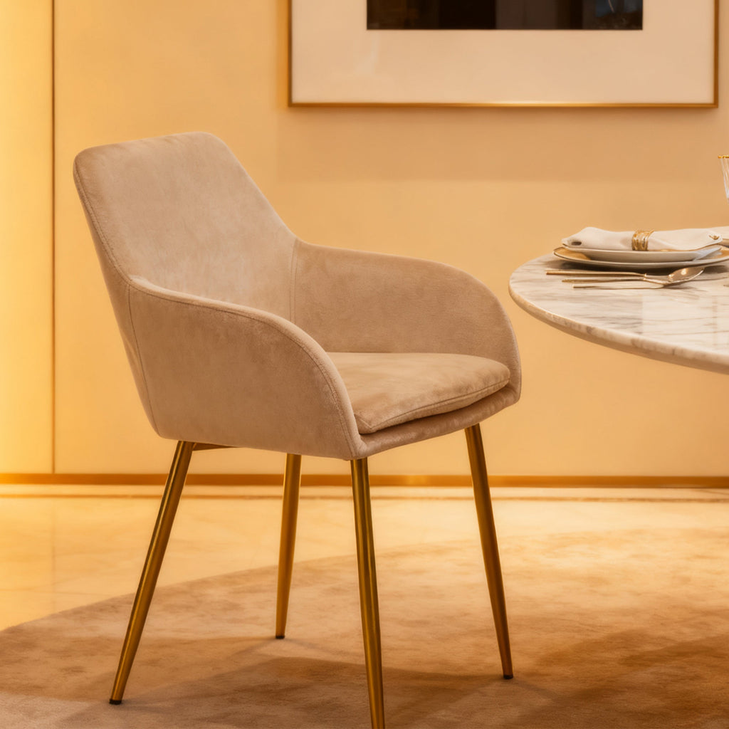 Velvet Dining Chair Set - 2 Pieces