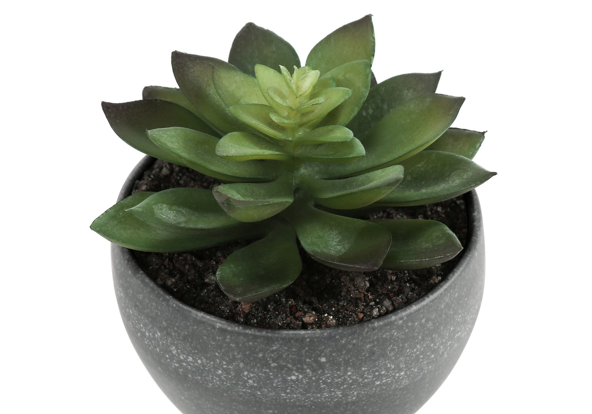 Artificial Succulent Plant Set of 3
