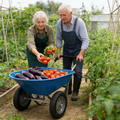 Two-Wheeled Wheel Barrow Trolley