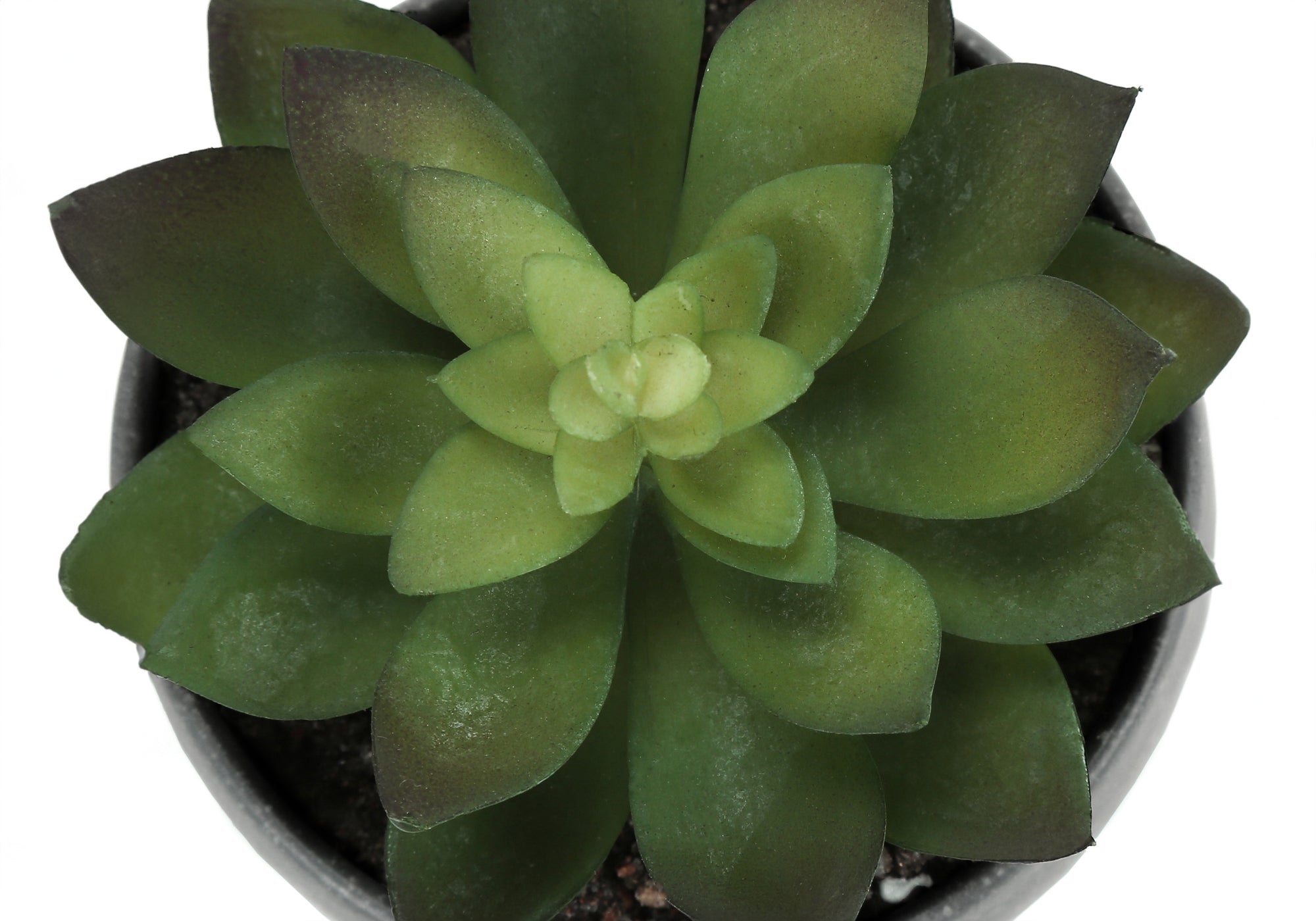 Artificial Succulent Plant Set of 3
