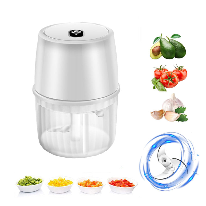 Mini Electric Garlic Chopper & Food Processor, 250ml