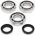 All Balls Racing 1993 Polaris Big Boss 250 6x6 Crank Shaft Bearing Kit 24-1078