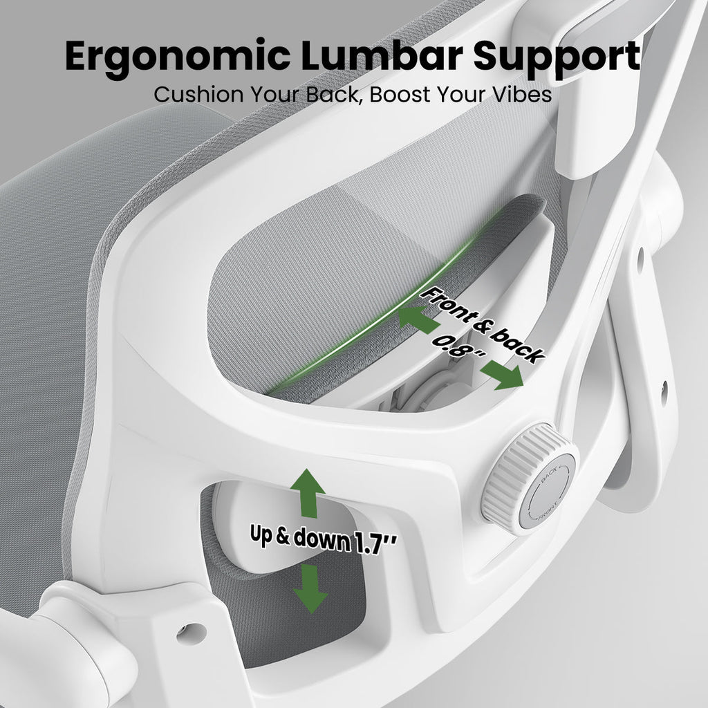 Ergonomic Office Chair for Home Office Study Room