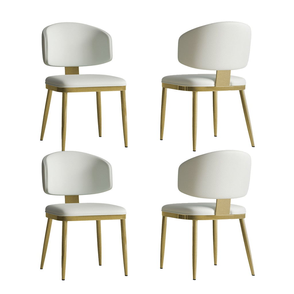 Dining Chairs Set of 2 in Modern Design