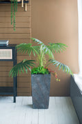 Large Cement Planter for Indoor and Outdoor Use
