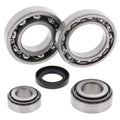 All Balls Racing 86-87 Kawasaki KLF300A Bayou Differential Bearing & Seal Kit Rear 25-2019
