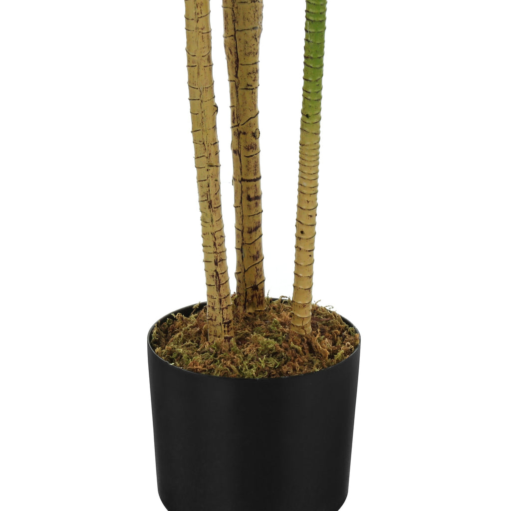 Artificial 51" Tall Dracaena Tree - Indoor Faux Plant