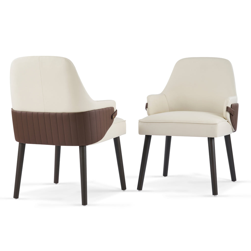 Indoor Dining Chair Set of 2