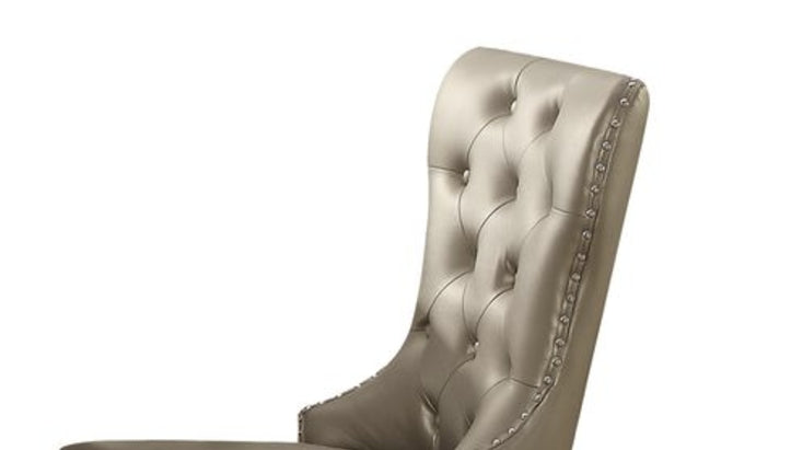 Kacela Champagne Synthetic Leather & Champagne Finish Side Chair (Set of 2)