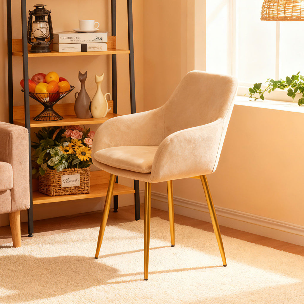 Velvet Dining Chair Set - 2 Pieces