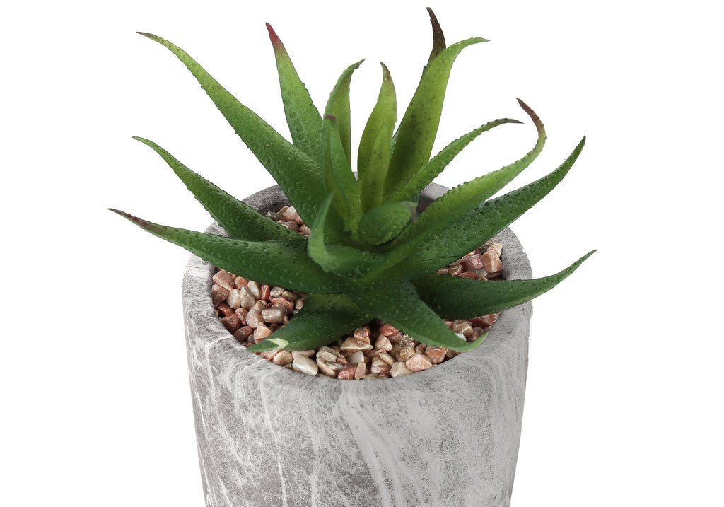 Artificial Plant Set of 2 - Indoor Succulent