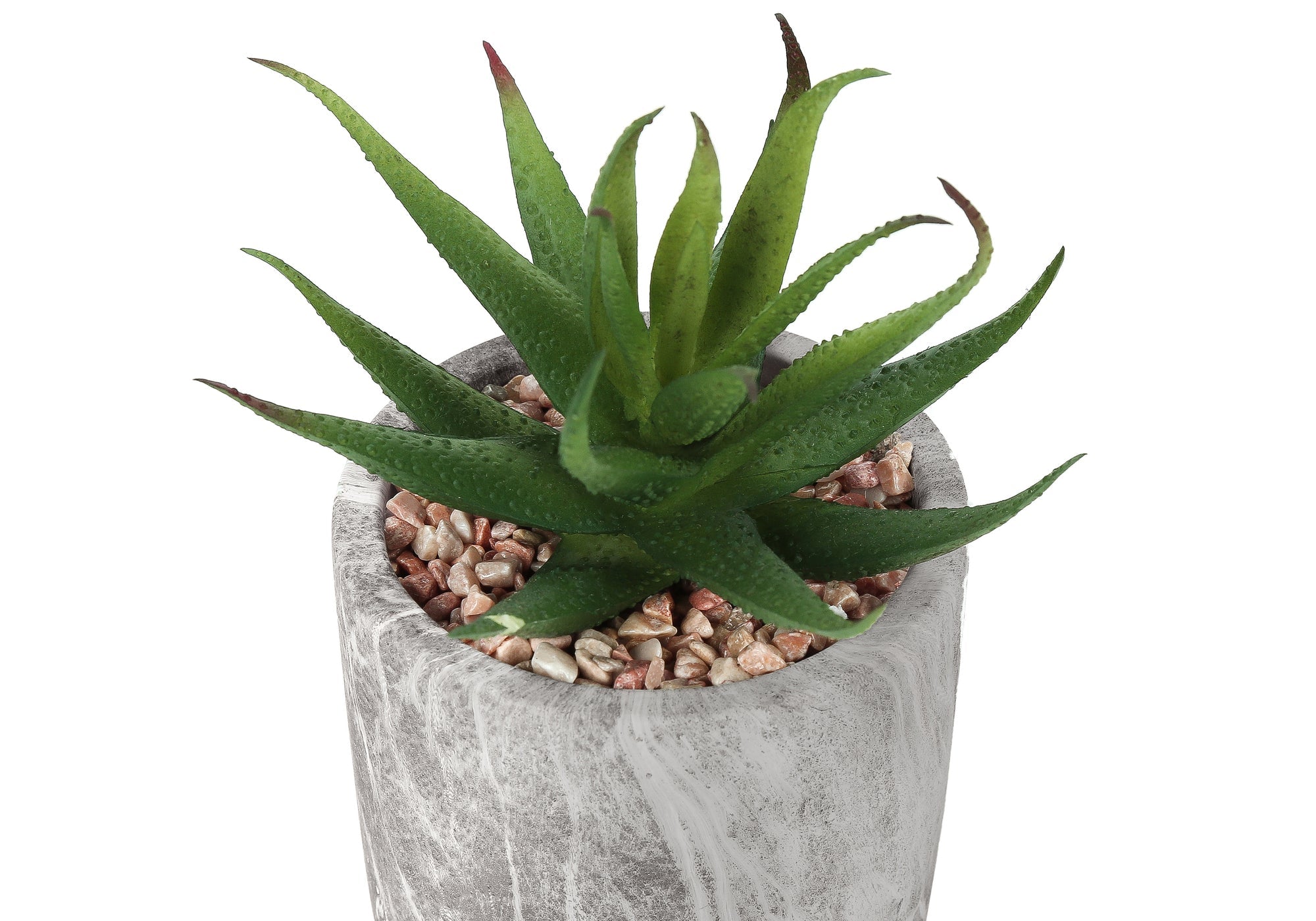 Artificial Plant Set of 2 - Indoor Succulent
