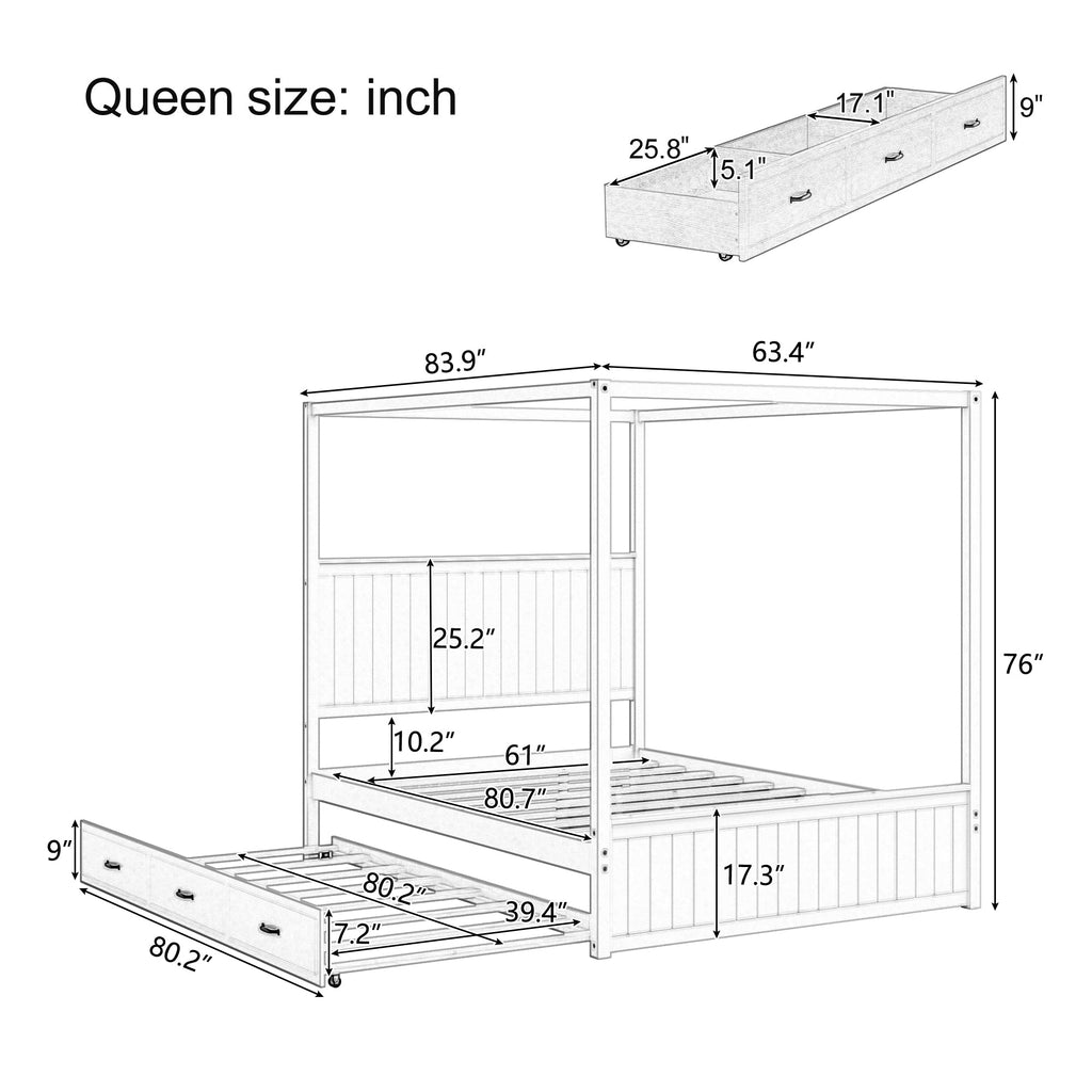 Modern Queen Size Canopy Platform Bed with Trundle