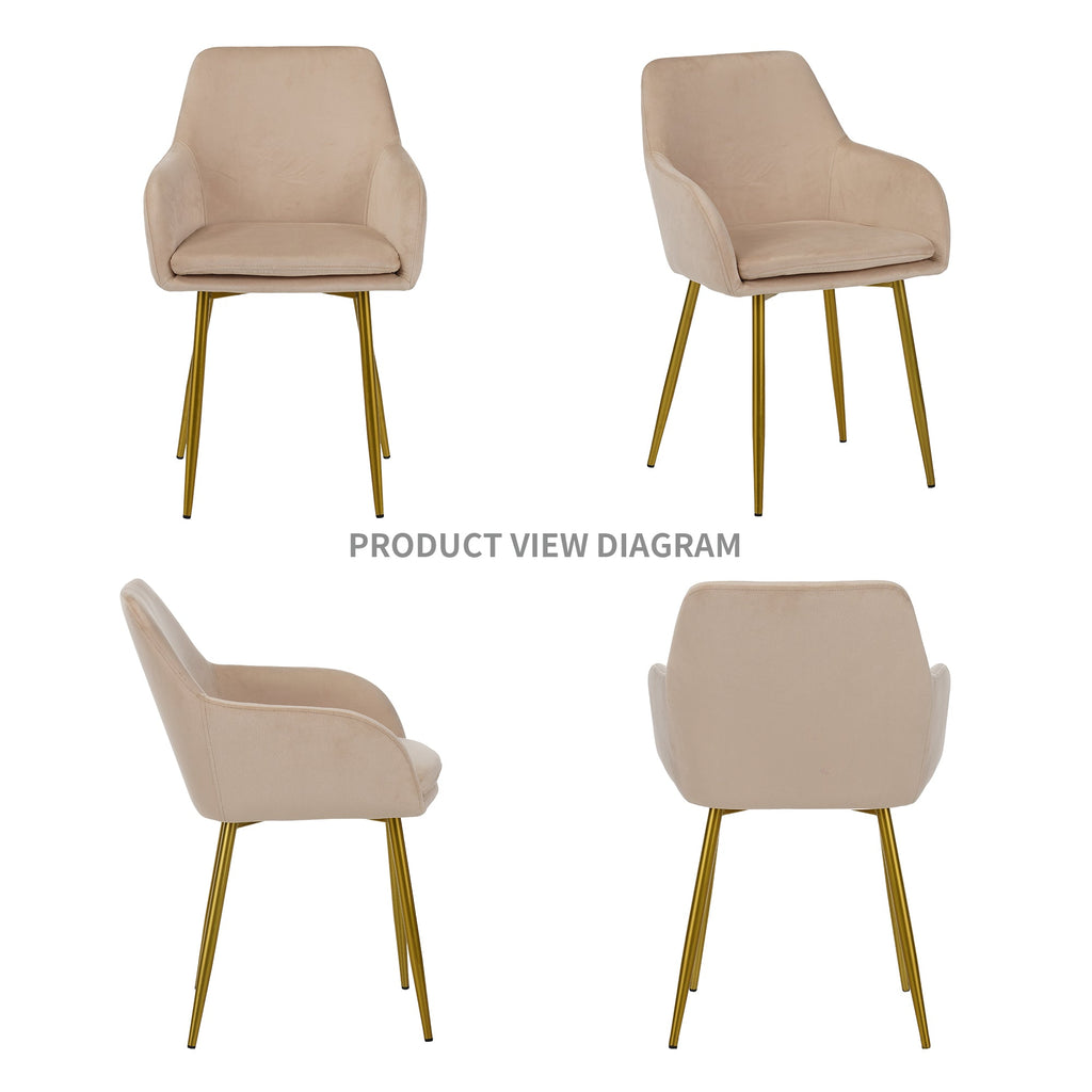 Velvet Dining Chair Set - 2 Pieces