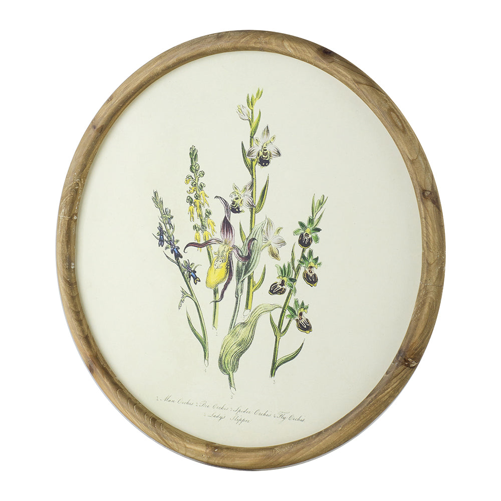 Flora Print Round Frame Set of 4