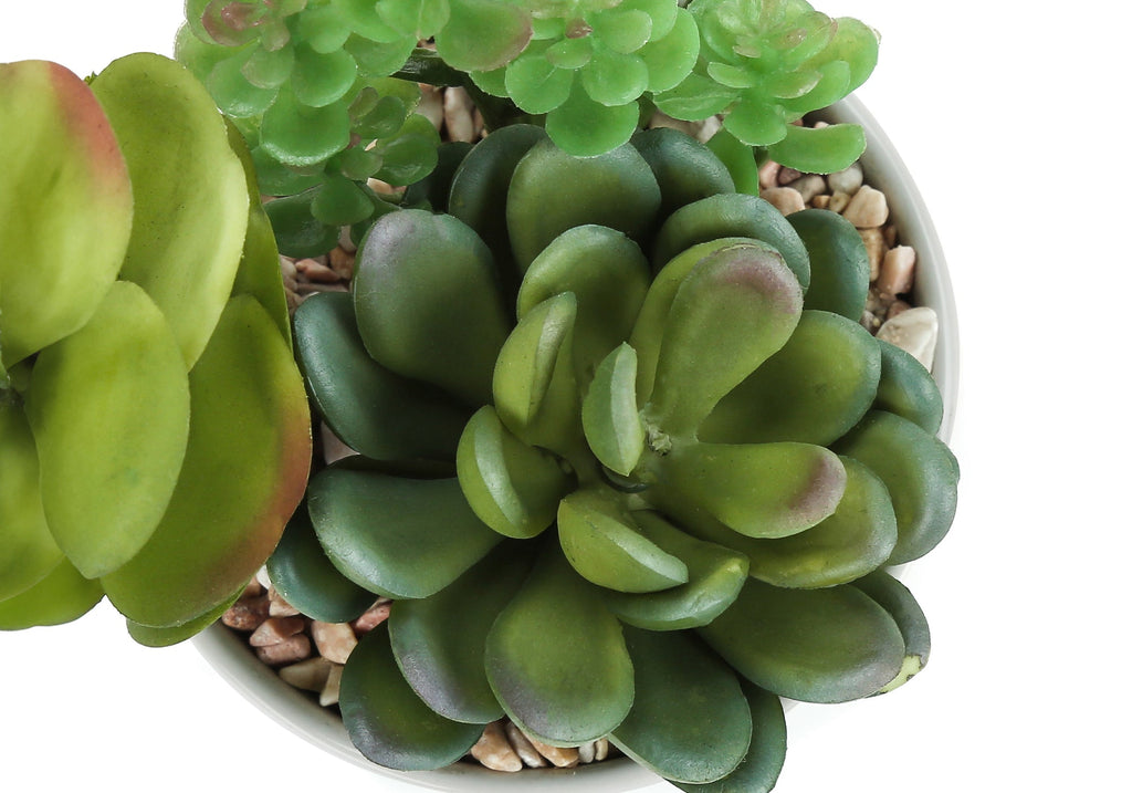 Artificial Succulent Plant Set of 2