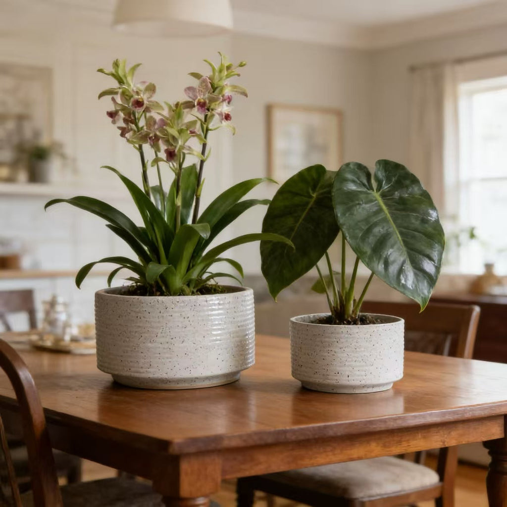 Handmade Ceramic Planter Set of 2